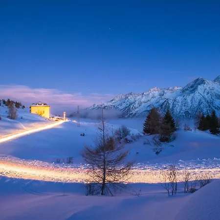 Dinastia Snow * Passo del Tonale